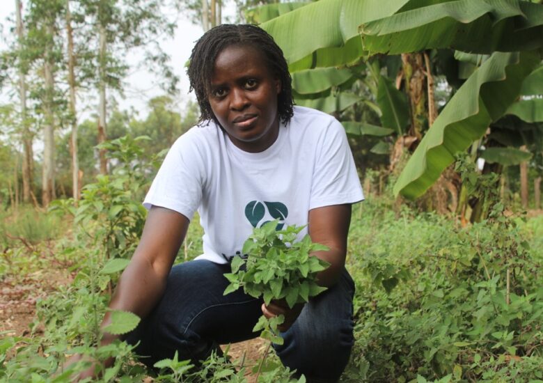 Youthful Woman Thrives in Herbs Production