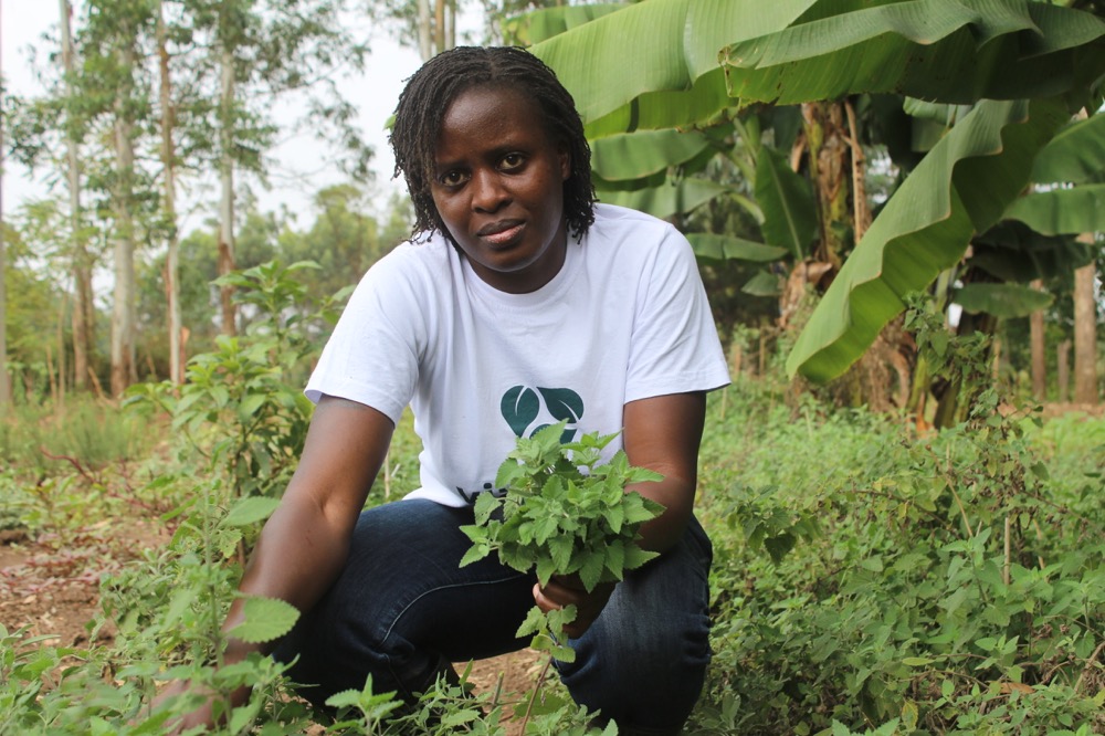 Youthful Woman Thrives in Herbs Production