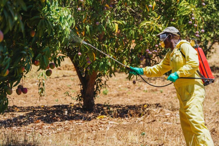 MARKUP Kenya Launches Campaign on Proper use of Pesticides