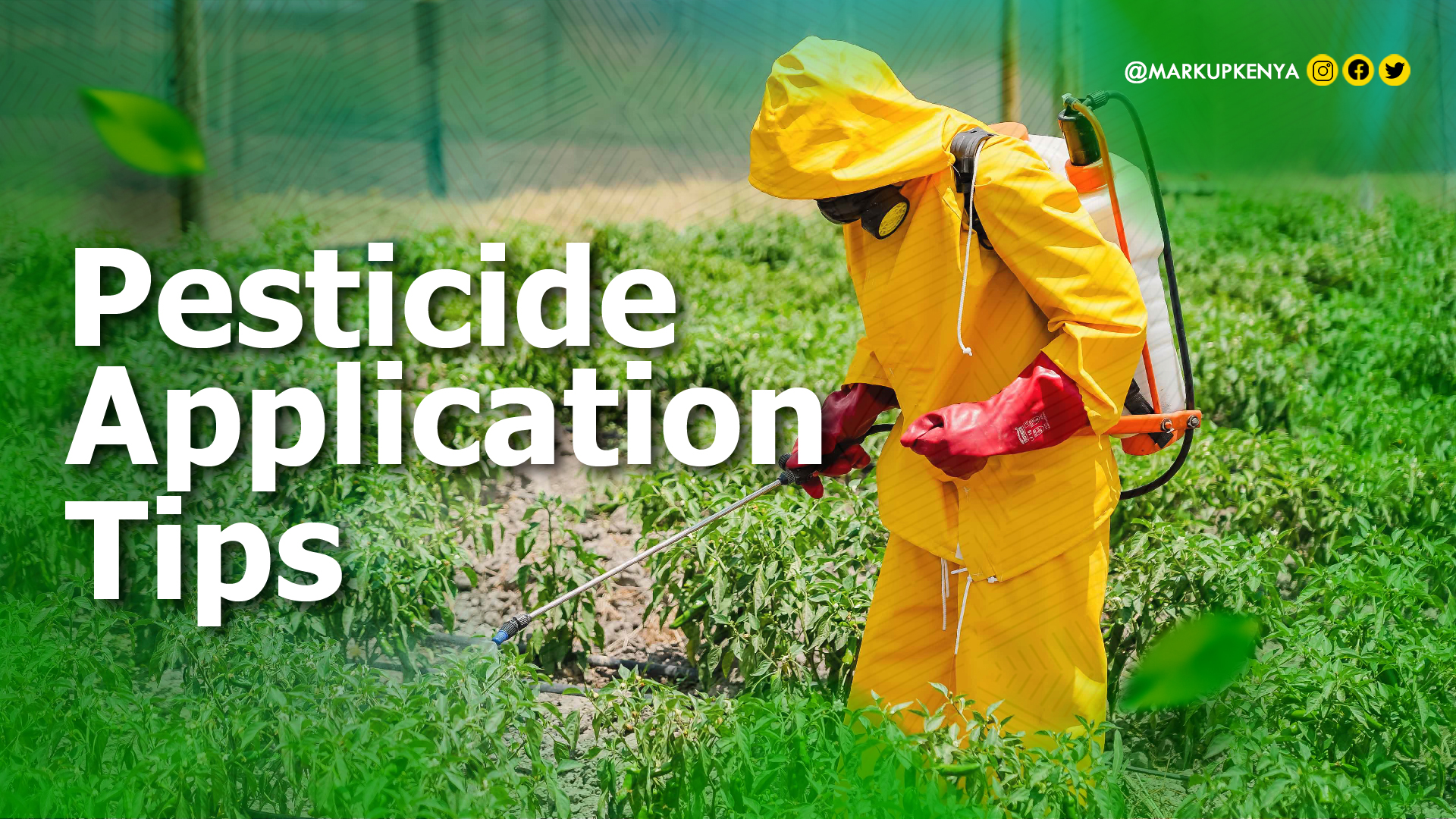 Best Practices for Proper Pesticide Application