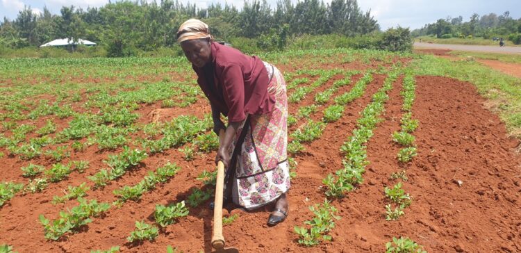 CELEBRATING RURAL WOMEN : Rising and Claiming Their Basic Right To Sustainable Development￼