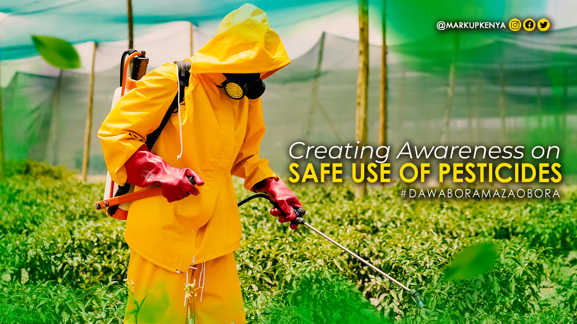 Pesticide Awareness: Empowering Farmers, Ensuring Food Safety