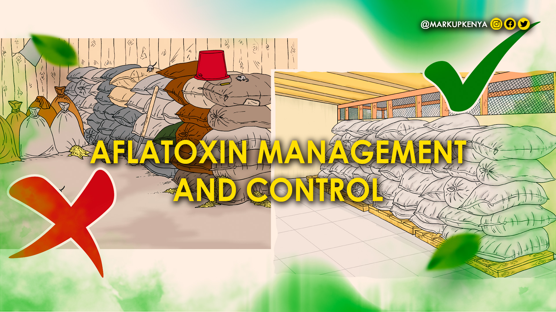 Aflatoxin Management and Control